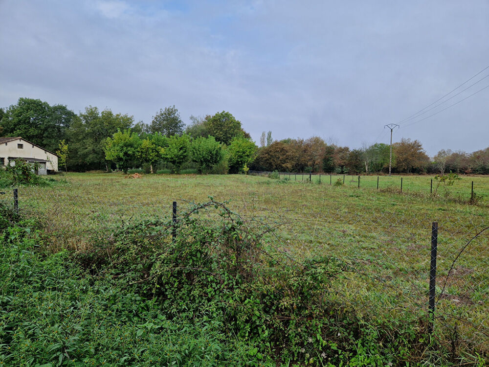 Vente Terrain Terrain Menesplet 1015 m2 Menesplet
