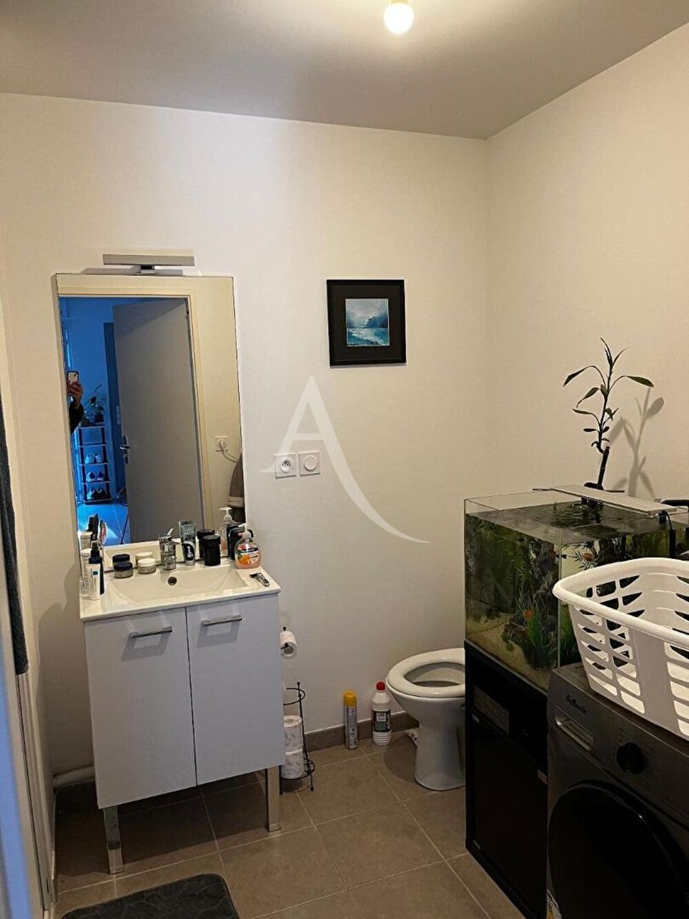 Location Appartement Appartement Nantes - 1 pièce(s) - 31.7 m2 Nantes