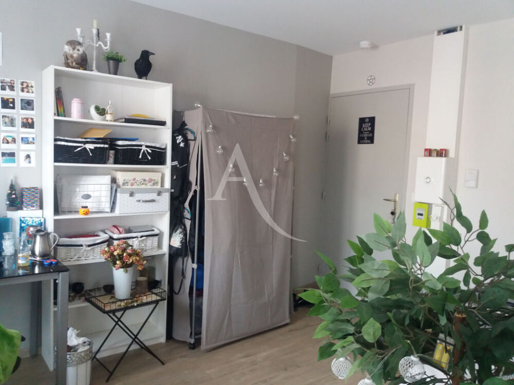 Appartement Albi 1 pièce 19 m²