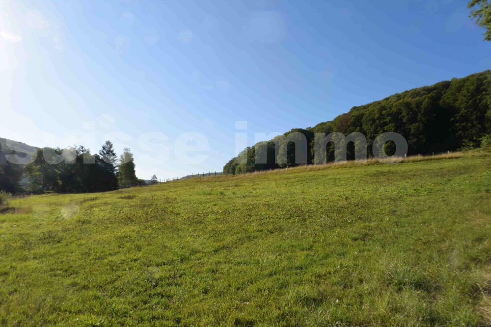 Vente Terrain Terrain Sancey le long