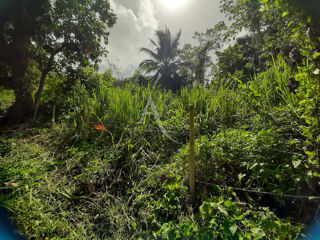  Terrain � vendre 1082 m�