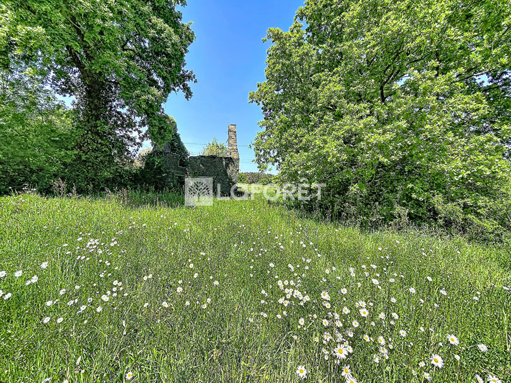 Vente Terrain Terrain Langon 2290 m2 Langon