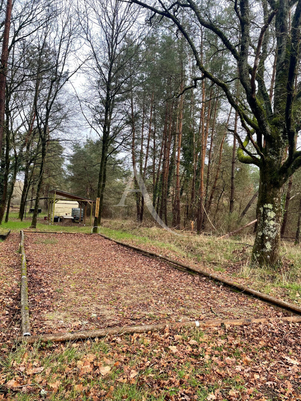 Vente Terrain TERRAIN DE LOISIRS A VENDRE VILLEFRANCHE SUR CHER Villefranche sur cher