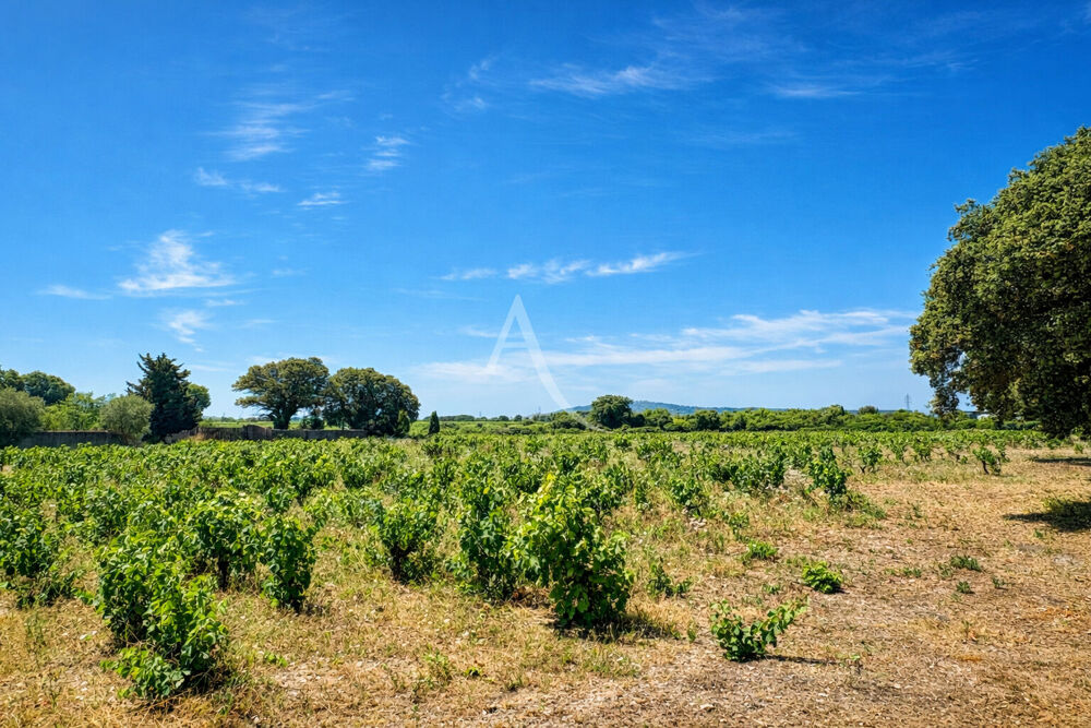 � vendre  Maison S�te (34200)