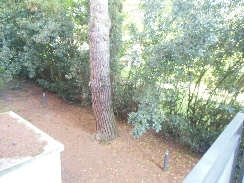 Location Appartement Toulouse 31500 JOLIMONT Sans frais agence Agréable T3 récent de 65.6m², terrasse de 9.55m² Très belle vue arborée parking en sou Toulouse