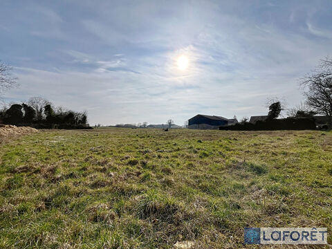 Local d'activité CHAZEUIL 230m² 88500 21260 Chazeuil