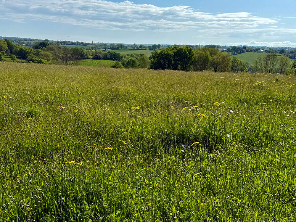Vente Terrain Terrain constructible 2100m2  - Sainte Juliette Sur Viaur Sainte juliette sur viaur
