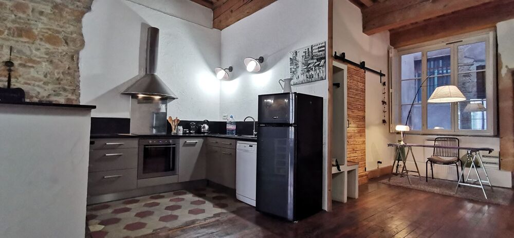 Location Appartement LYON 1 - Magnifique T2 de 101 m² Lyon 1
