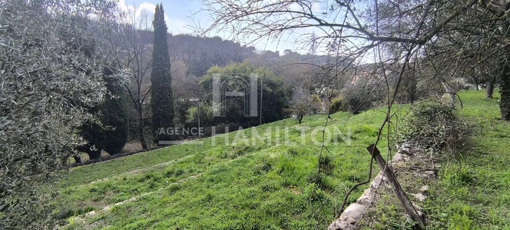 Vente Terrain TERRAIN CONSTRUCTIBLE Valbonne