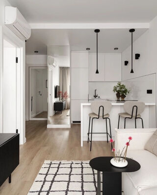  Appartement � vendre 2 pi�ces 46 m�