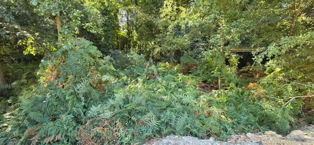 Vente Terrain Terrain constructible à Saint Hilaire De Riez 1453 m2 Saint hilaire de riez