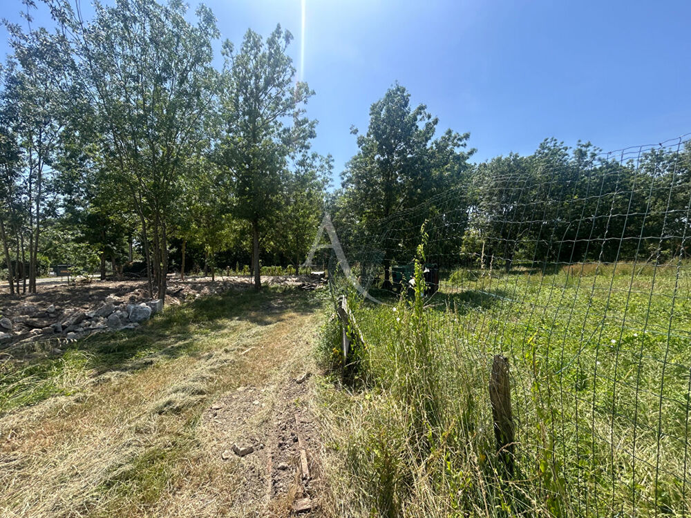 Vente Terrain Terrain à bâtir LA TAILLÉE La taillee