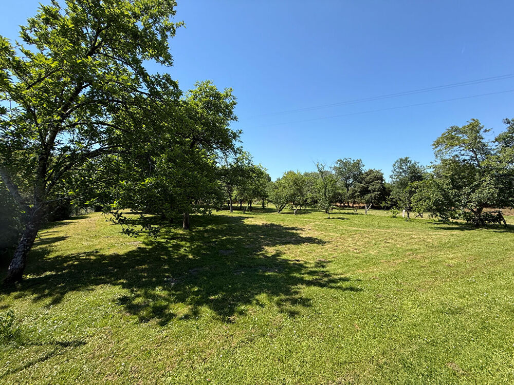 Belle Demeure de Caractère avec Plus de 5 000 m² de Terrain, Verger et Dépendances