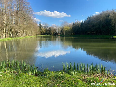 Etang sur 3 hectares de terrain - Secteur Mayenne 105900 Mayenne (53100)