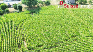 Vente Terrain Terrain Bournois 2158 m2 Bournois