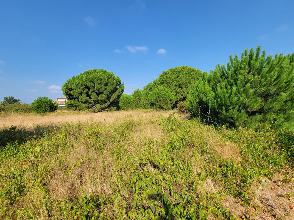 Vente Terrain Terrain  constructible 3 faces - Latour Bas Elne Latour bas elne