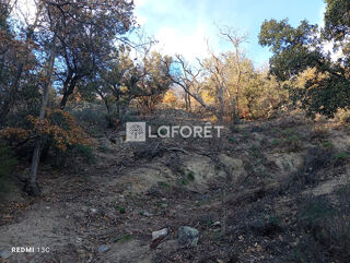  Terrain à vendre 18305 m²