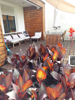  Maison � vendre 4 pi�ces 89 m�