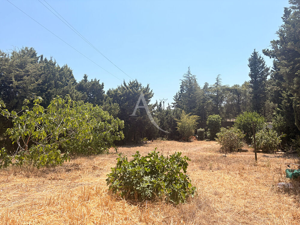 Vente Terrain Terrain Villegailhenc 838 m2 Villegailhenc