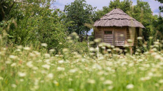  Maison � vendre 6 pi�ces 340 m�