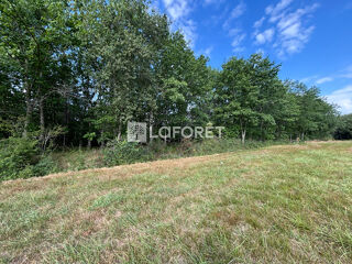  Terrain  vendre 45574 m