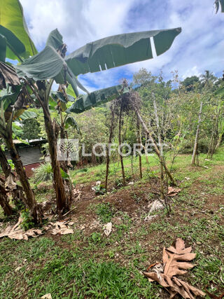  Terrain � vendre 890 m�