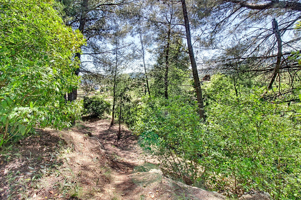 Vente Terrain A VENDRE EN EXCLUSIVITÉ DRAGUIGNAN - Terrain constructible 8517 m² Draguignan