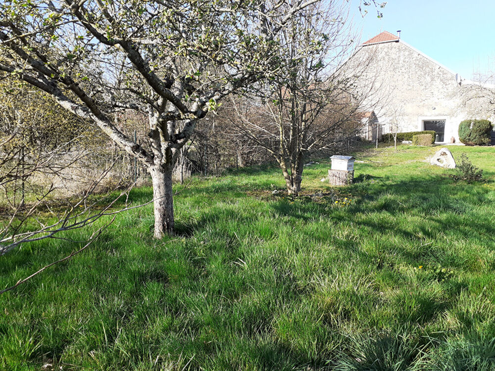 Vente Terrain Terrain Richebourg 900 m2 Richebourg