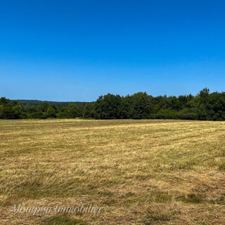  Terrain à vendre 9518 m²