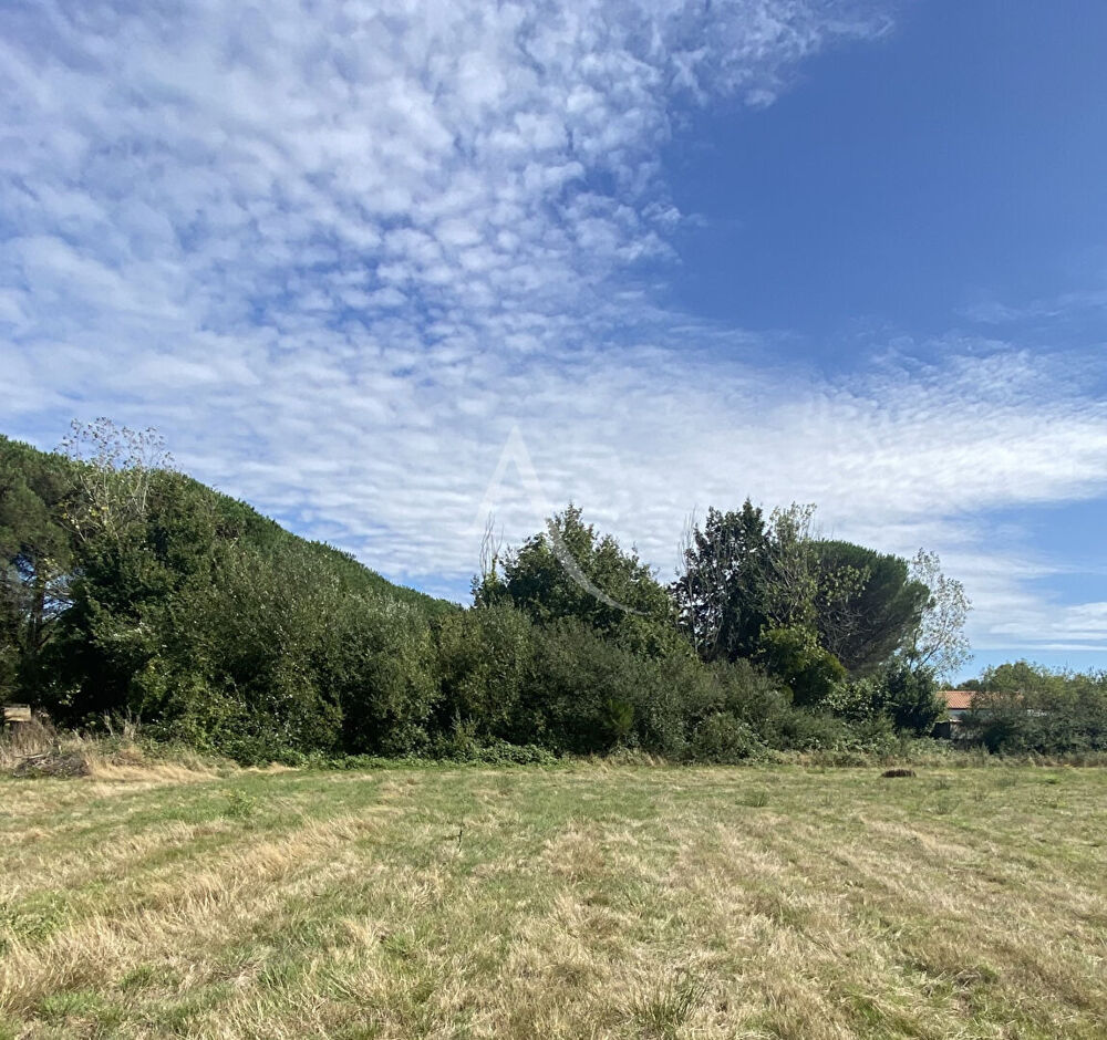Vente Terrain Terrain 1461 m² Talmont Saint Hilaire Talmont saint hilaire