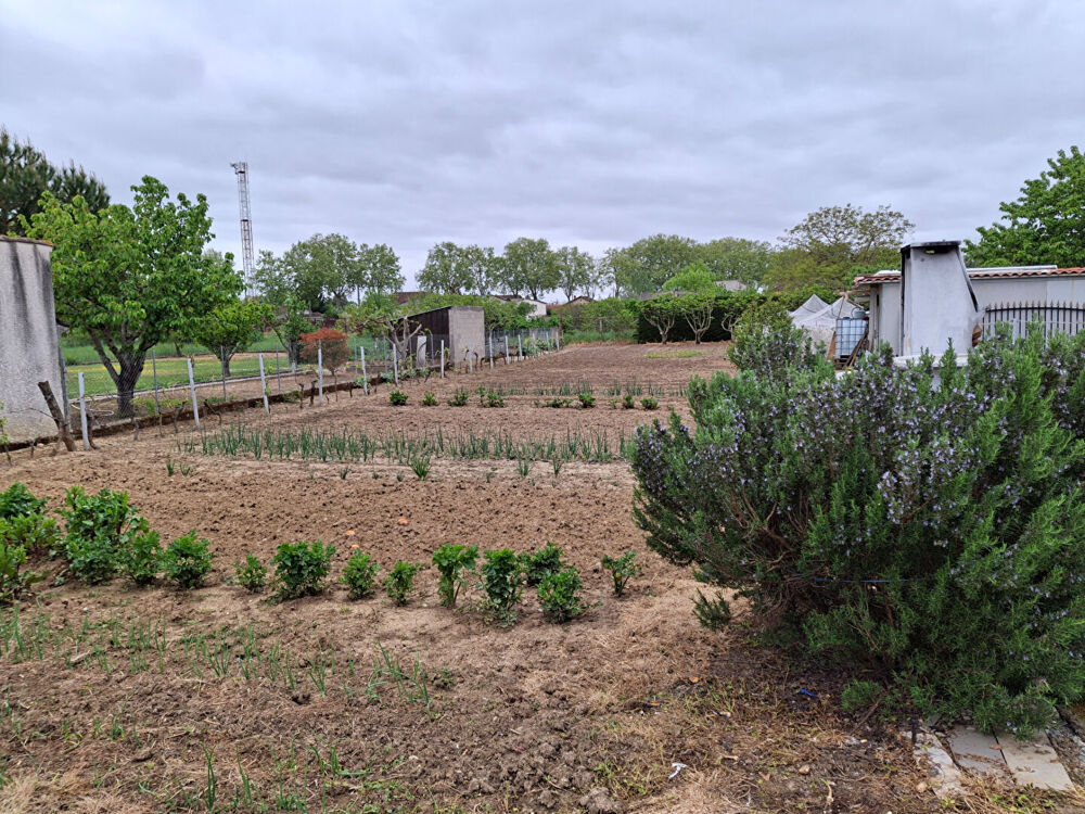 Vente Maison Gaillac - 5 pièce(s) - Gaillac