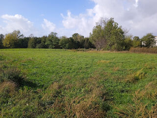  Terrain à vendre 997 m²