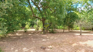  Maison � vendre 3 pi�ces 70 m�