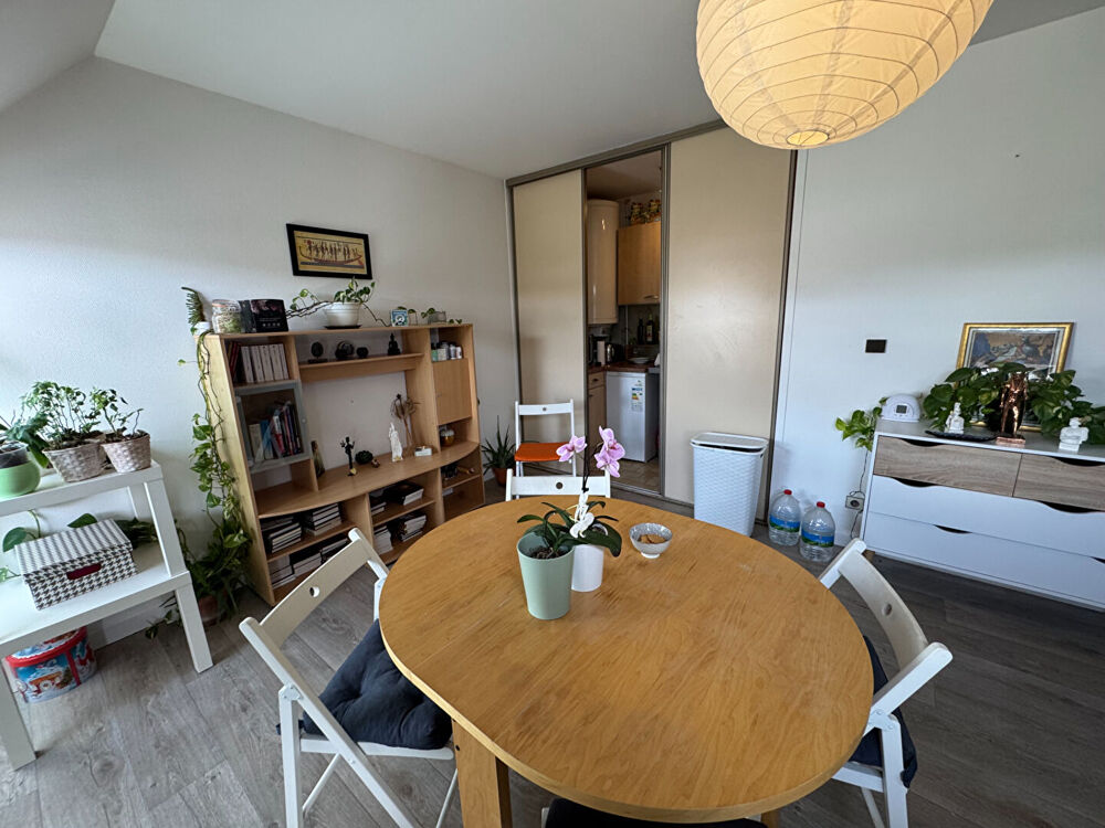 Location Appartement Coquet T2 Quartier Darcy Montchapet - rue Henry Chambellan Dijon