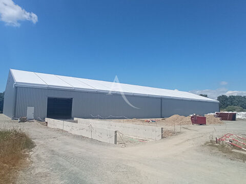 A LOUER LOCAL DE STOCKAGE ALLANT DE 150 m² à 1000 m² A SALLERTAINE 5000 85300 Sallertaine