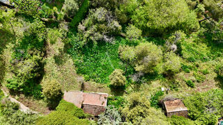  Terrain à vendre 1290 m²