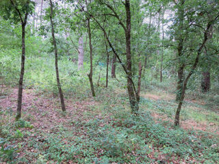  Terrain  vendre 1704 m