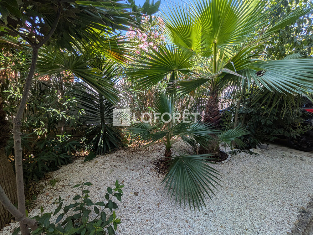 Vente Maison Maison Agde 5 pièces  145 m2 Agde