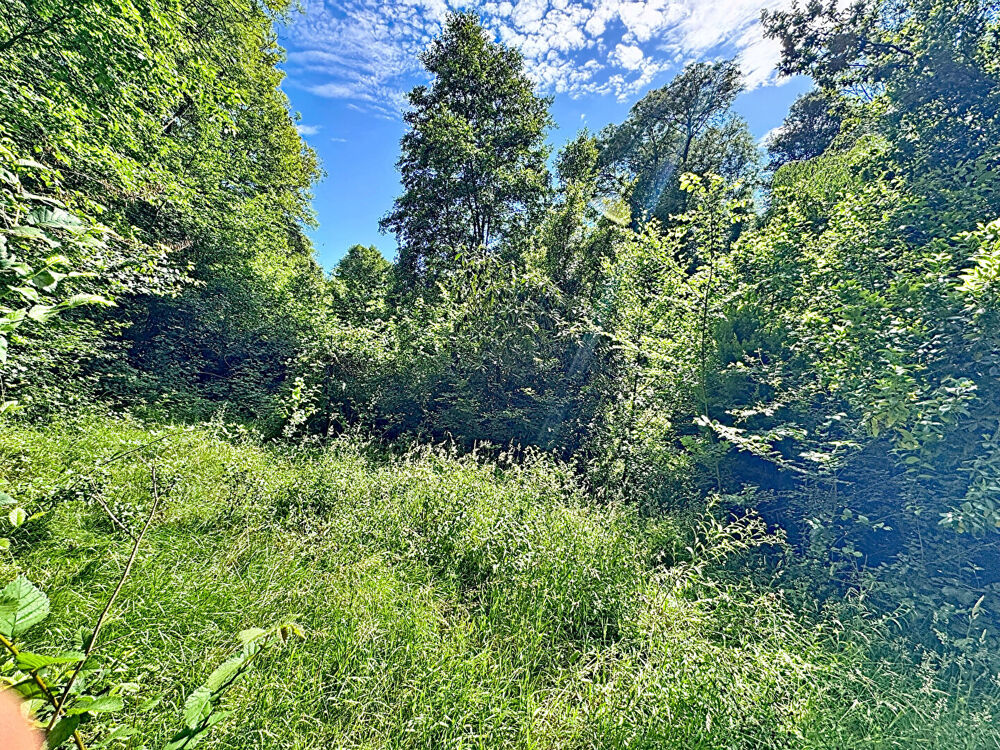 Vente Terrain EXCLUSIVITE - COSSESSEVILLE - Terrain de loisirs Cossesseville