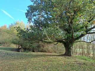  Maison  vendre 5 pices 112 m