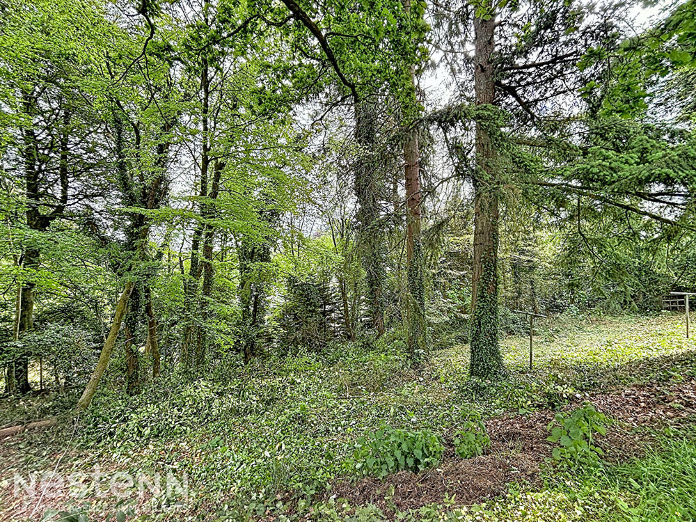 Vente Terrain QUIMPERLE - Terrain constructible 988m² Quimperle