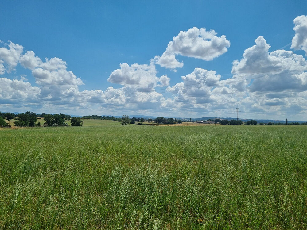 Vente Terrain TERRAIN ST GERAND LE PUY AVEC VUE Saint gerand le puy