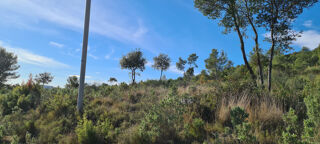  Terrain � vendre 2385381 m�