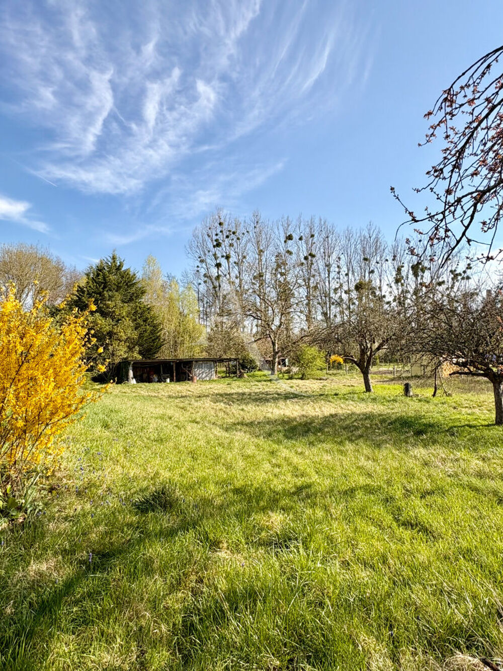 Vente Maison Maison Fay Aux Loges 4 pièce(s) 90 m2 Fay aux loges