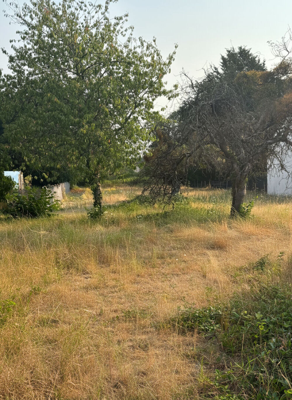 Vente Maison Maison à rénover Nouan Le Fuzelier 3 pièce(s) 40 m2 Nouan le fuzelier