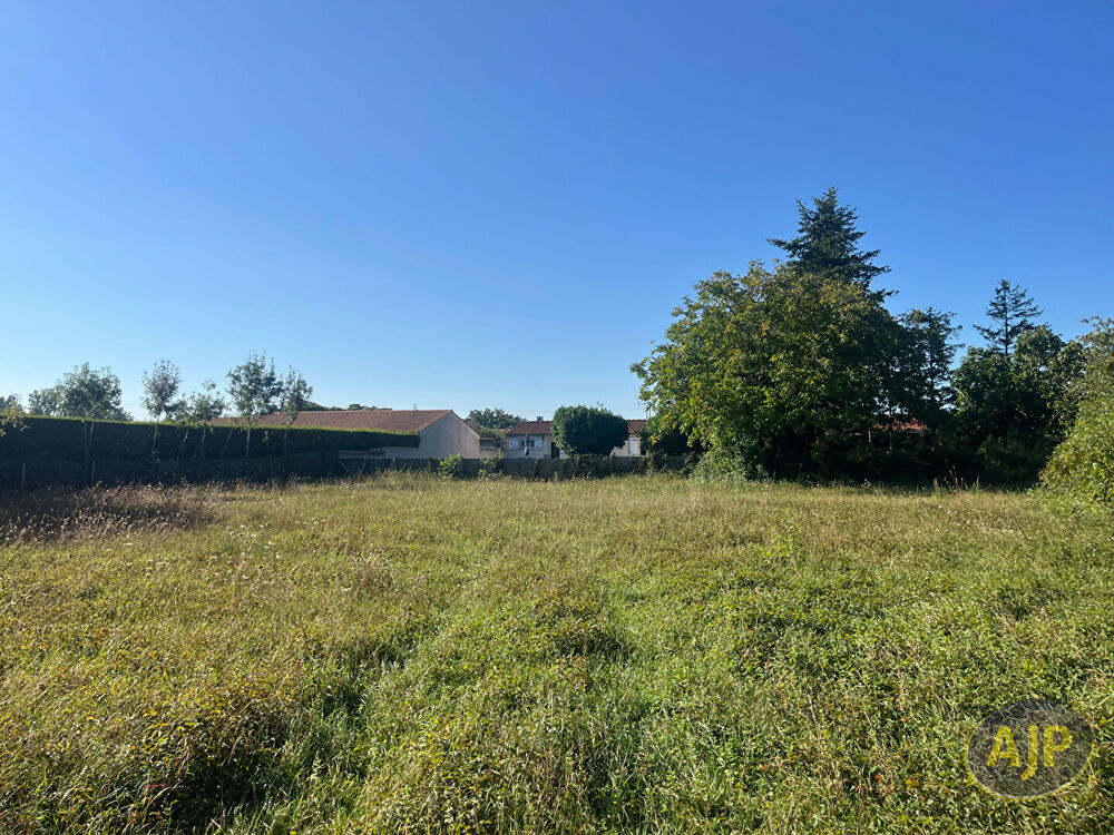Vente Terrain TERRAIN A BATIR A CHASNAIS Chasnais