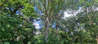  Terrain � vendre 3463 m�