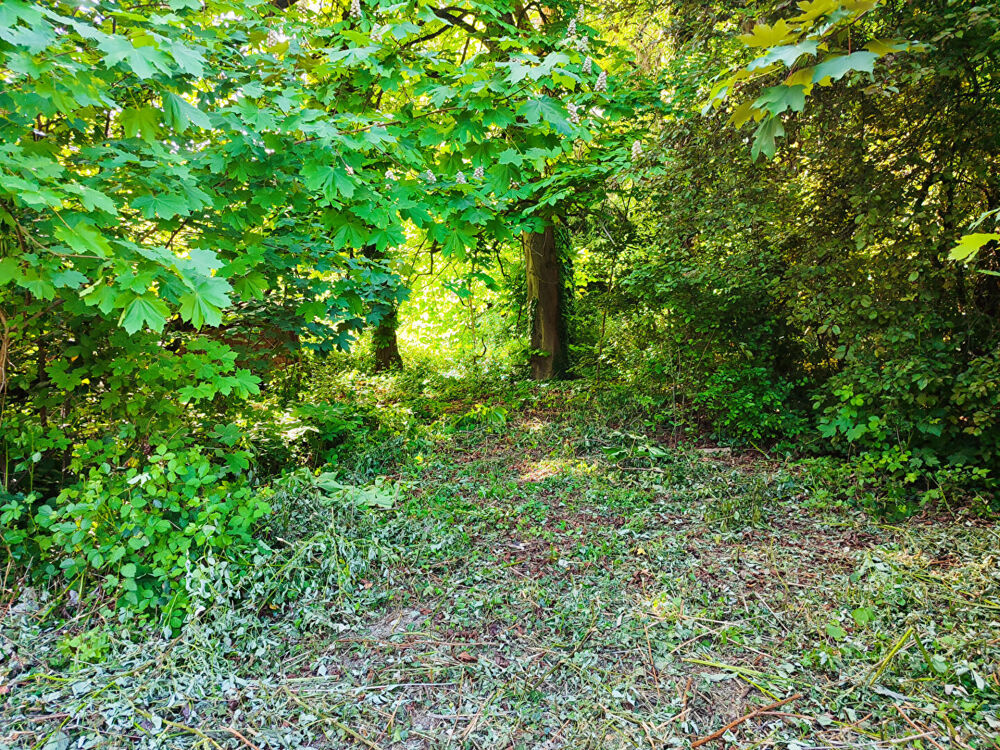 Vente Terrain Terrain constructible 5a 45ca Pfastatt