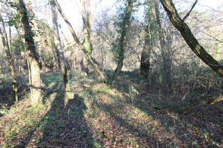  Terrain � vendre 497 m�