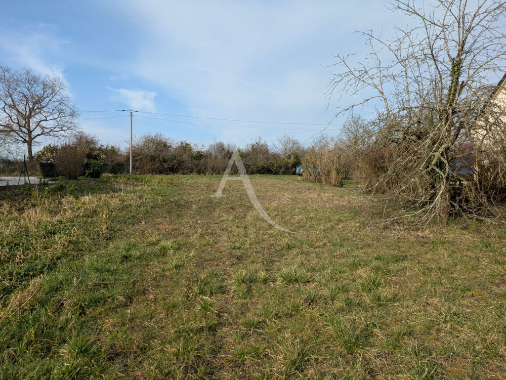 Vente Terrain ONZAIN - 20 KMS DE BLOIS - 20 KMS D'AMBOISE Onzain
